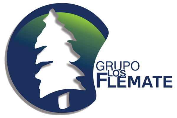 Grupo Los Flemate